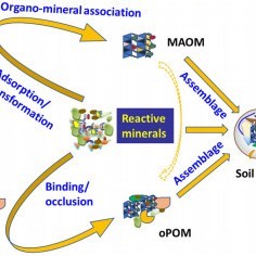 WeChat account icon for Soil Organo-Mineral Interactions and Ecological Rehabilitation