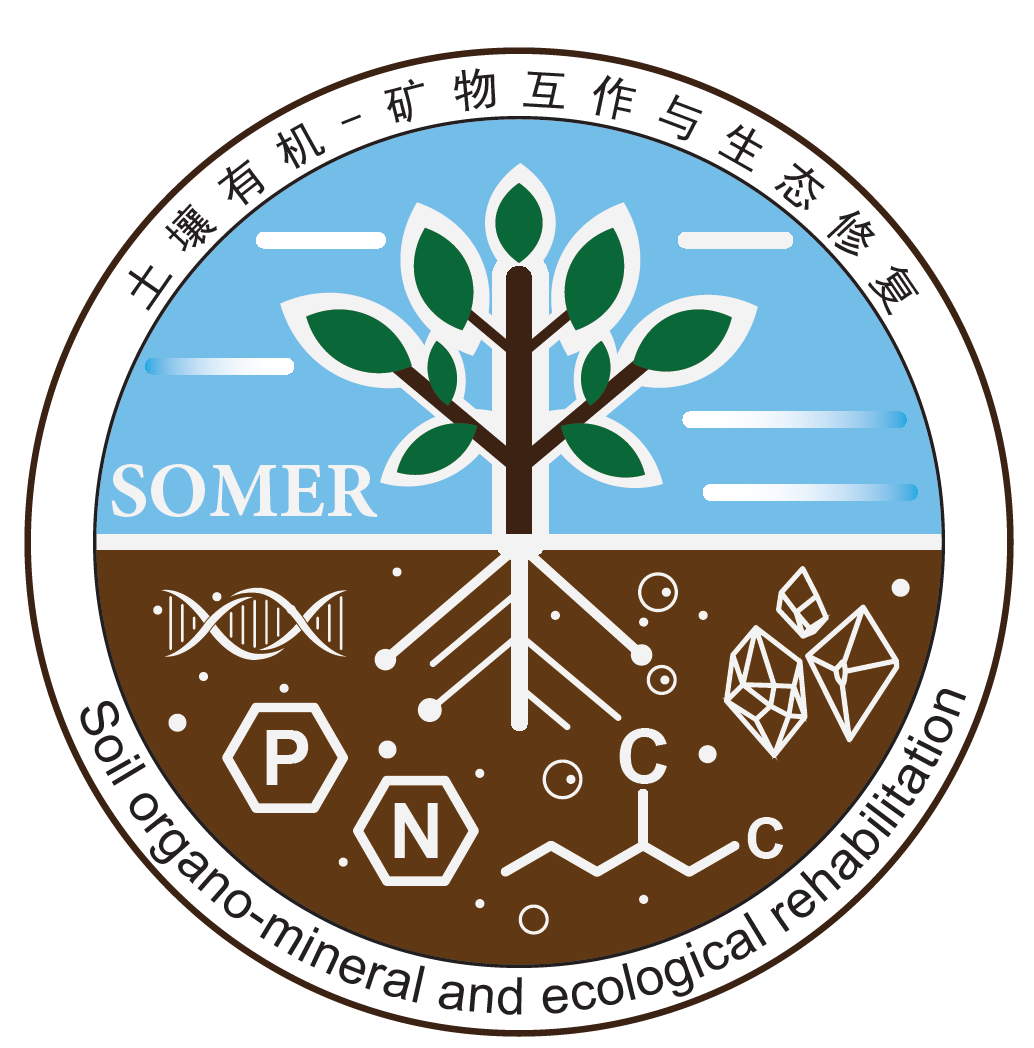 SOMER logo