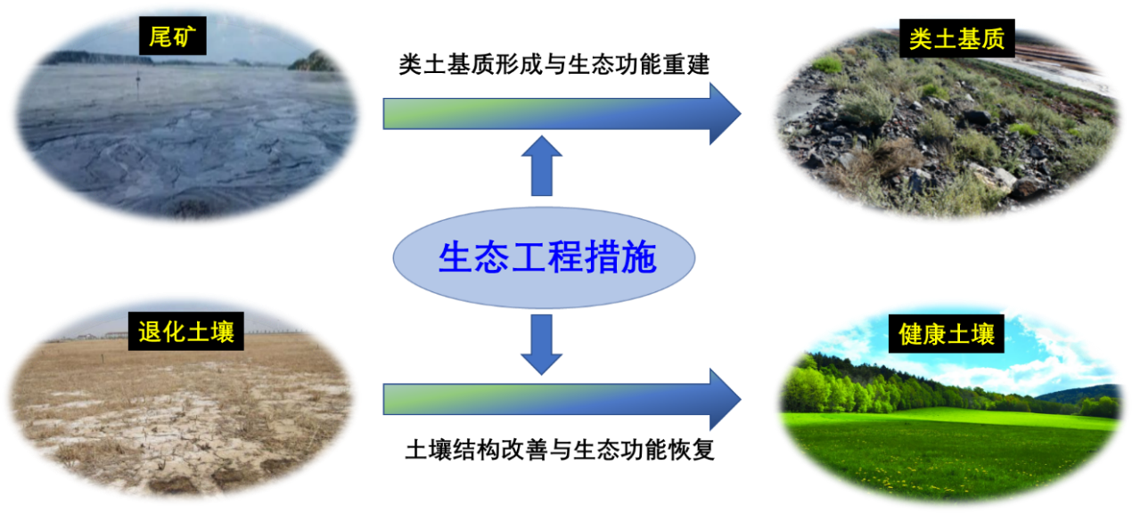 SOMER生态工程概念图