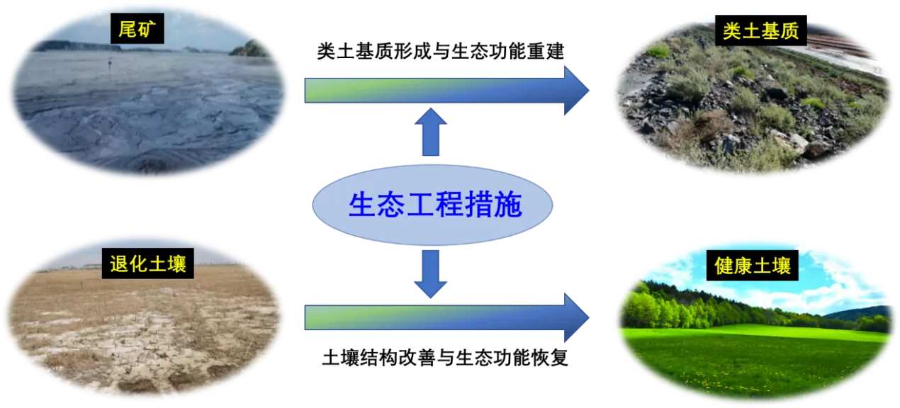SOMER生态工程概念图